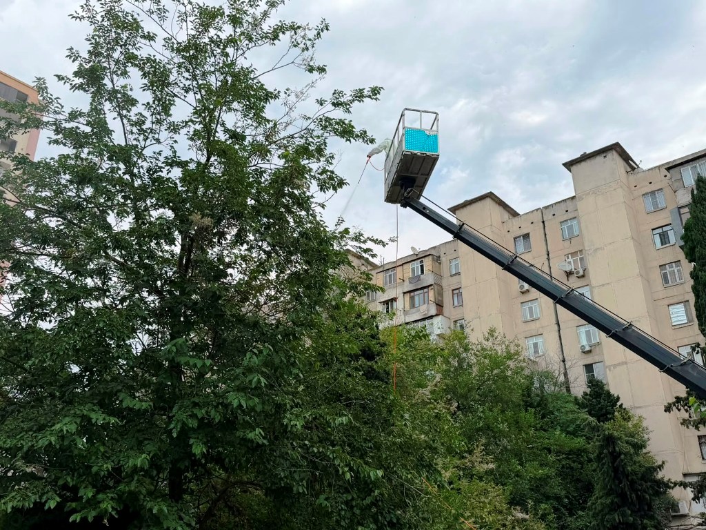 04.jpg