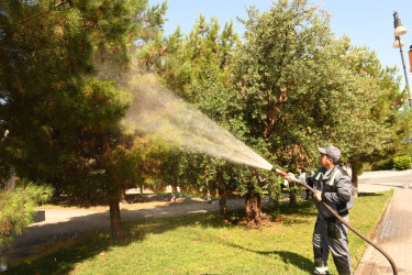 Another Internal Community Cleanup Day Held in the Capital