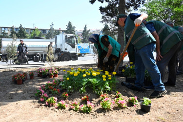 The streets of the capital were washed again