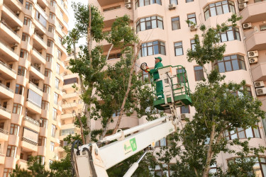 Paytaxtda növbəti daxili iməclik keçirilib
