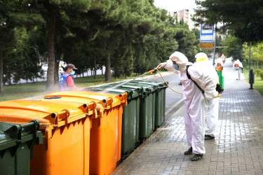 An cleaning-day was held in the capital