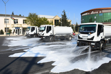 An cleaning-day was held in the capital