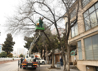 Güclü yağışdan sonra paytaxtda genişmiqyaslı daxili iməclik keçirilib