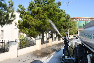 An cleaning-day was held in the capital