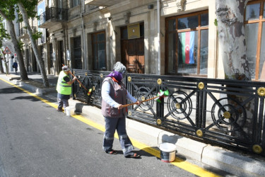 İn the capital city area held the cleaning day