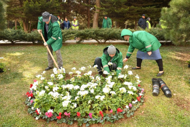 Bakıda Novruz ərəfəsində geniş təmizlik işləri aparılıb