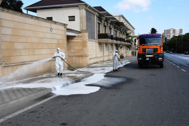 An cleaning-day was held in the capital