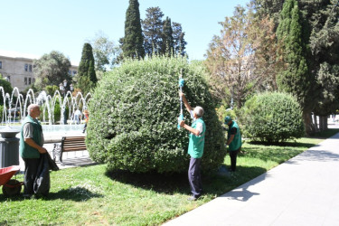 İn the capital city area held the cleaning day