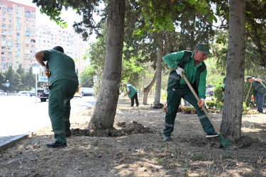 The streets of the capital were washed again