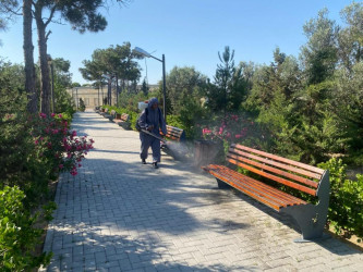 Another Internal Community Cleanup Day Held in the Capital