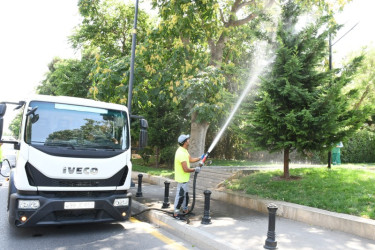 Cleaning-disinfection measures are taken in the parks of the capital