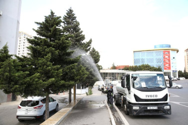 An cleaning-day was held in the capital