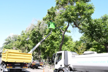 İn the capital city area held the cleaning day