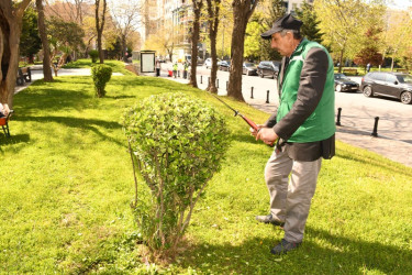 Paytaxtda növbəti dəfə geniştəmizlik işləri aparılıb